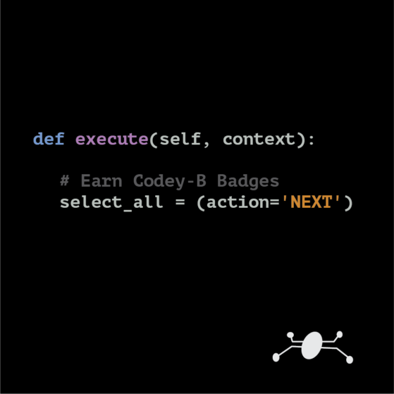 Python Code Execute Code