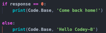 Python Code, Codey-B, response